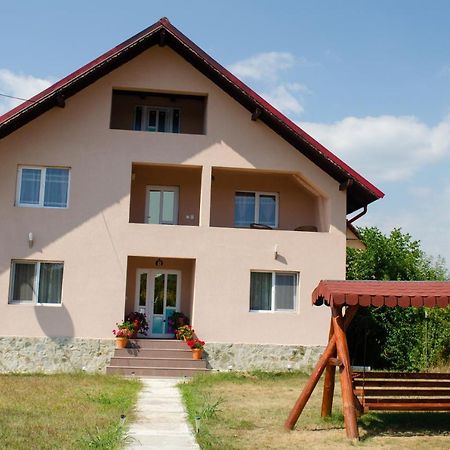 Pensiunea Aly Bumbesti Pitic Zewnętrze zdjęcie