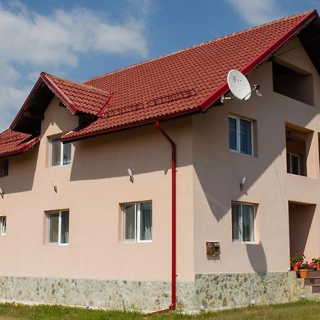 Pensiunea Aly Bumbesti Pitic Zewnętrze zdjęcie