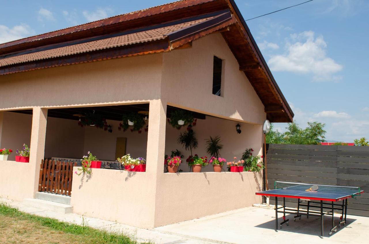 Pensiunea Aly Bumbesti Pitic Zewnętrze zdjęcie