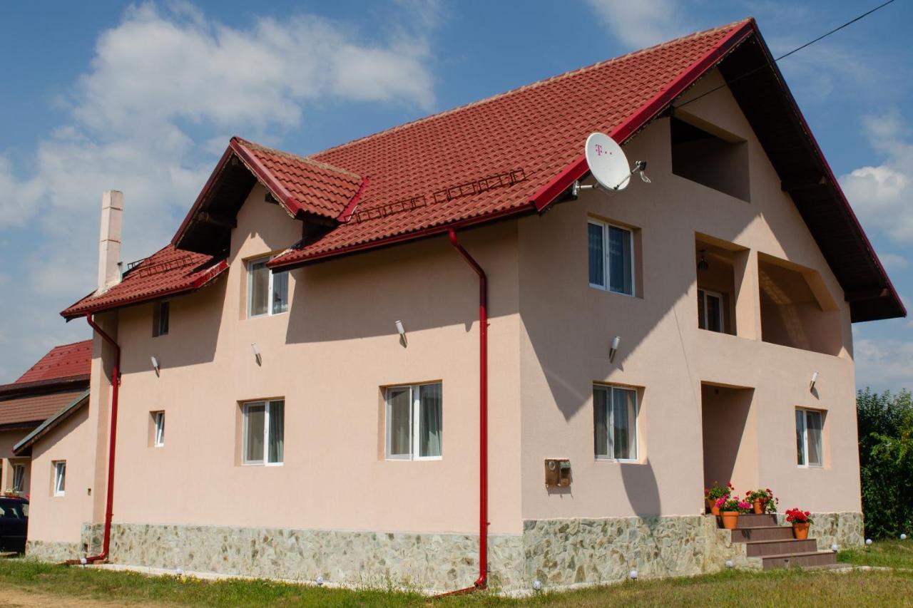 Pensiunea Aly Bumbesti Pitic Zewnętrze zdjęcie