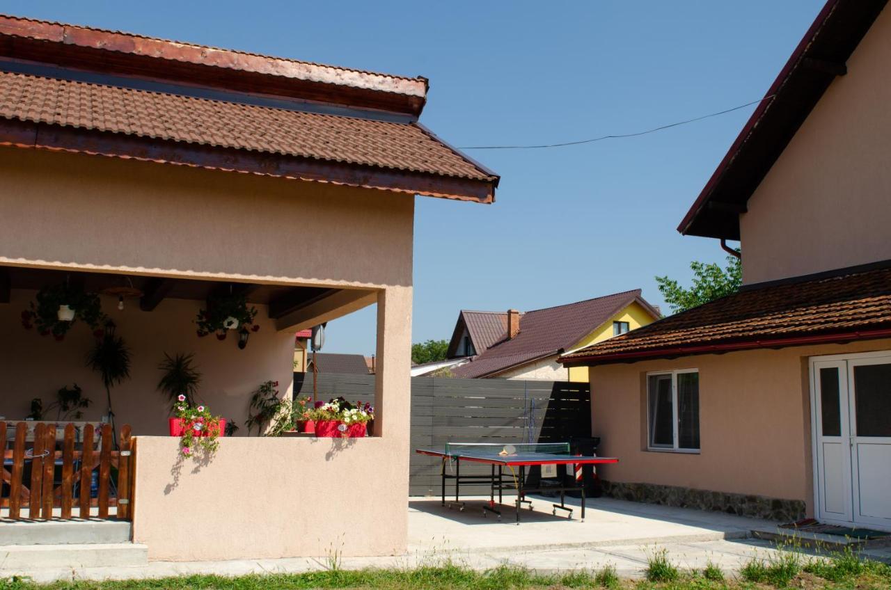 Pensiunea Aly Bumbesti Pitic Zewnętrze zdjęcie